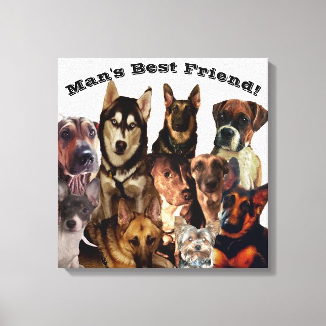 Toile BEST AMI DOG'S MANS Stretched Canvas Print (Recto)