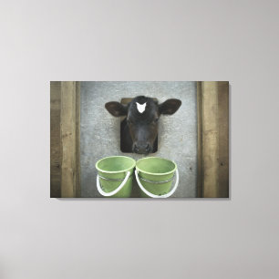 Toile Bétail, stylo individuel