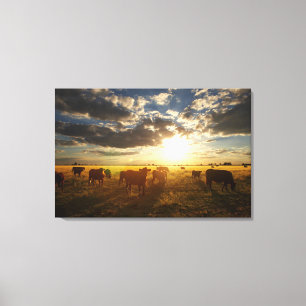 Toile Béton En Champ, Coucher De Soleil