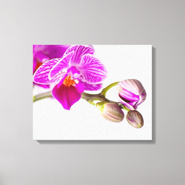 Toile Bezaubernde Orchidee - Glücksgefühle frei Haus ! (Recto)