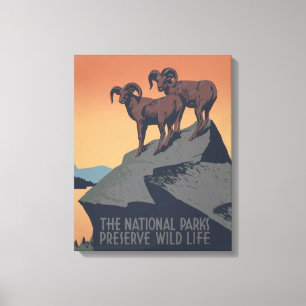 Toile Bighorn Sheep American West Wildlife