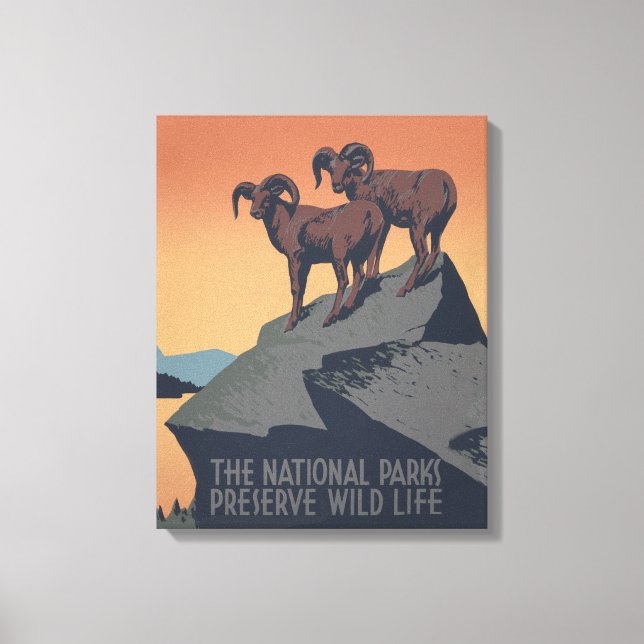 Toile Bighorn Sheep American West Wildlife (Recto)