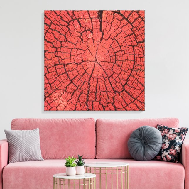 Toile Bille de bois séchée Coupe transversale Bois rouge (Insitu(Salon))