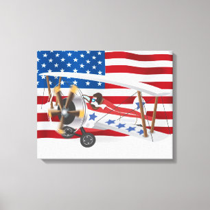 Toile biplans États-Unis