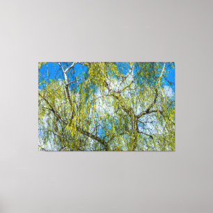 Toile Birch tree - Le printemps est dans l'air
