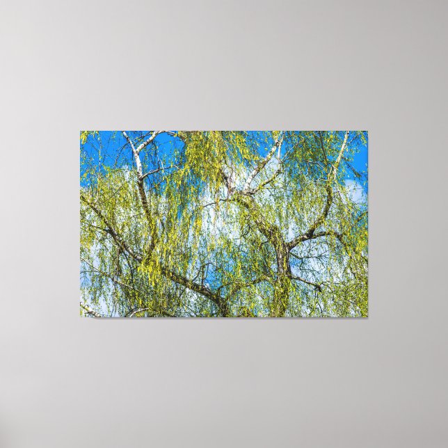 Toile Birch tree - Le printemps est dans l'air (Recto)