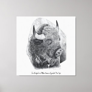 Toile Bison d'Amérique