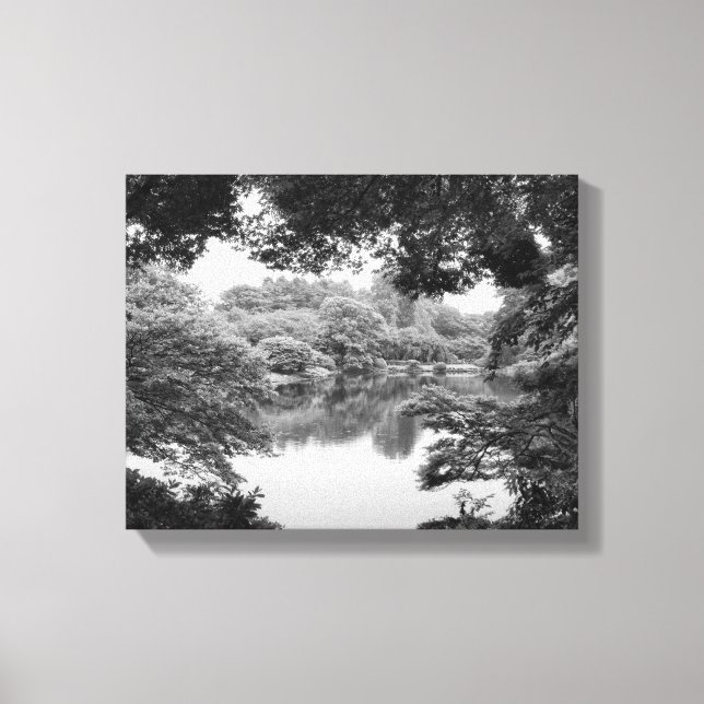 Toile Black and white, cool, unique nature et lake (Recto)
