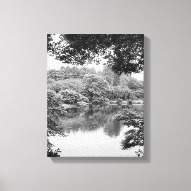 Toile Black and white, cool, unique nature et lake (Recto)