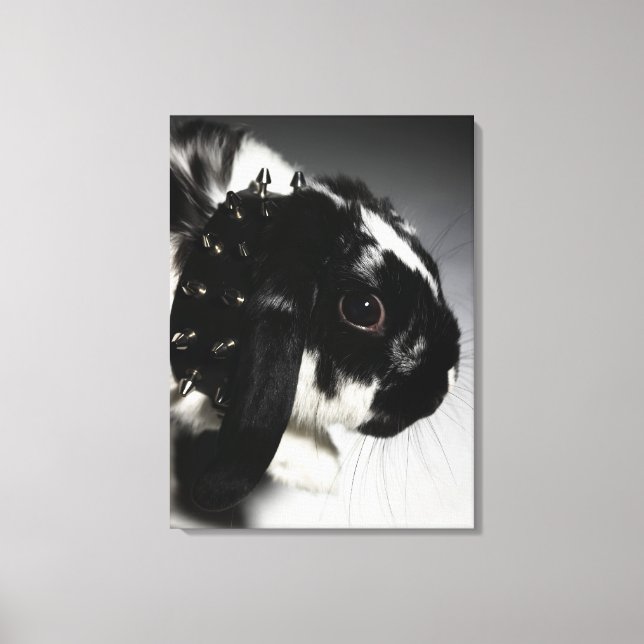 Toile Black and white rabbit with Étudiant ded collar (Recto)