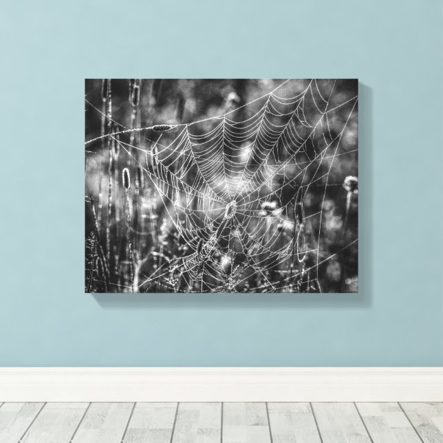 Toile Black and White Spider Web Nature (Insitu (Plancher de Bois))