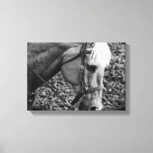 Toile Black and White Western Palomino Horse Canvas Prin
