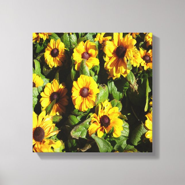 Toile Black Eyed Susan (Recto)
