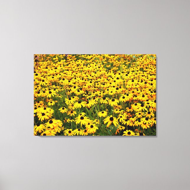 Toile Black Eyed Susans Diptych (Recto)