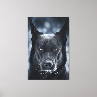 Black German Shepherd