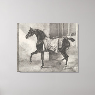 Toile "Black Horse Tethered" de Théodore Gericault