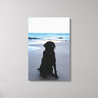Toile Black Labrador sur une plage