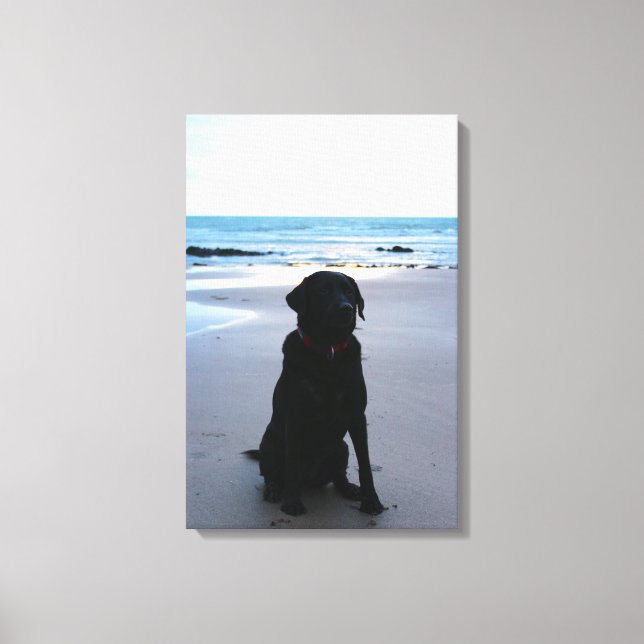 Toile Black Labrador sur une plage (Recto)