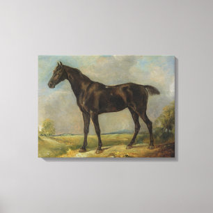 Toile Black Riding-Horse du gendarme du Golding, vers 18