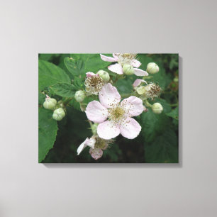 Toile Blackberry Flowers Imprimer