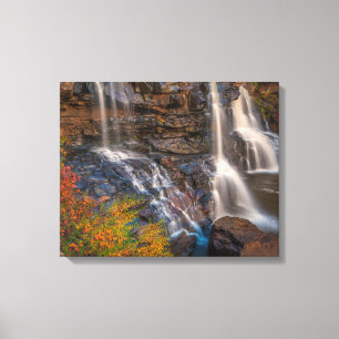 Toile Blackwater Falls State Park Virginie-Occidentale