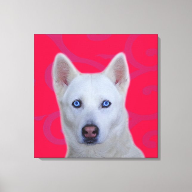 Toile blanche de Husky Sibérien enveloppé (Recto)
