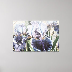 Toile *~* Bleu Blanc IRIS Irises Vintage Floral TV2