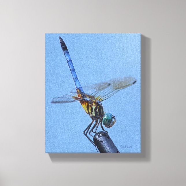 Toile Bleu Dasher Dragonfly dans "Obelisk Posture" (Recto)