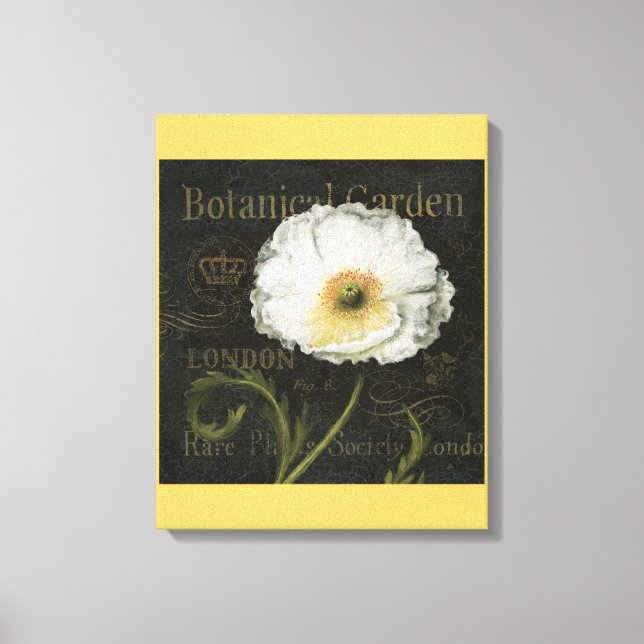 Toile Blossom blanc (Recto)