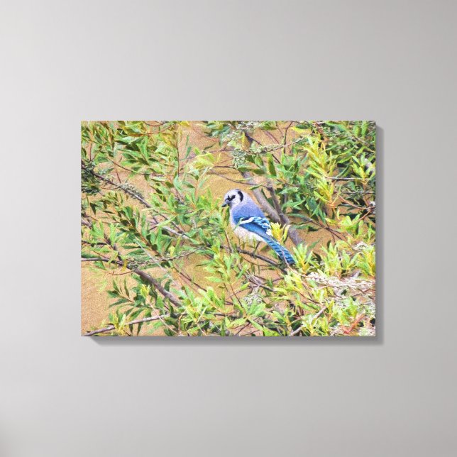 Toile Blue Jay sur Southern Wax Myrtle (Recto)