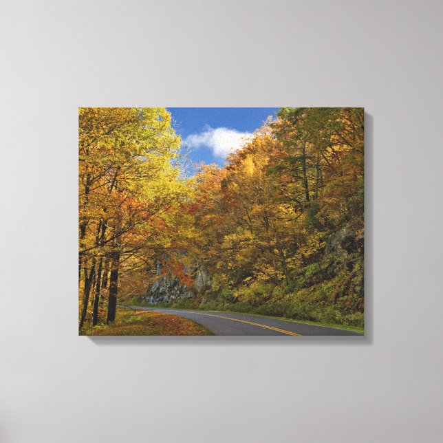 Toile Blue Ridge Parkway sinuant à travers les couleurs  (Recto)