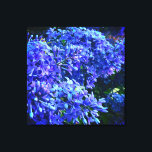 Toile Blue violet lilas romantique bleu floral photo<br><div class="desc">L'odeur du printemps est dans l'air ! Aimez Lilacs ! Jolie photo florale bleu-violet par H Cooper</div>