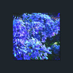 Toile Blue violet lilas romantique bleu floral photo<br><div class="desc">L'odeur du printemps est dans l'air ! Aimez Lilacs ! Jolie photo florale bleu-violet par H Cooper</div>