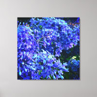 Blue violet lilas romantique bleu floral photo