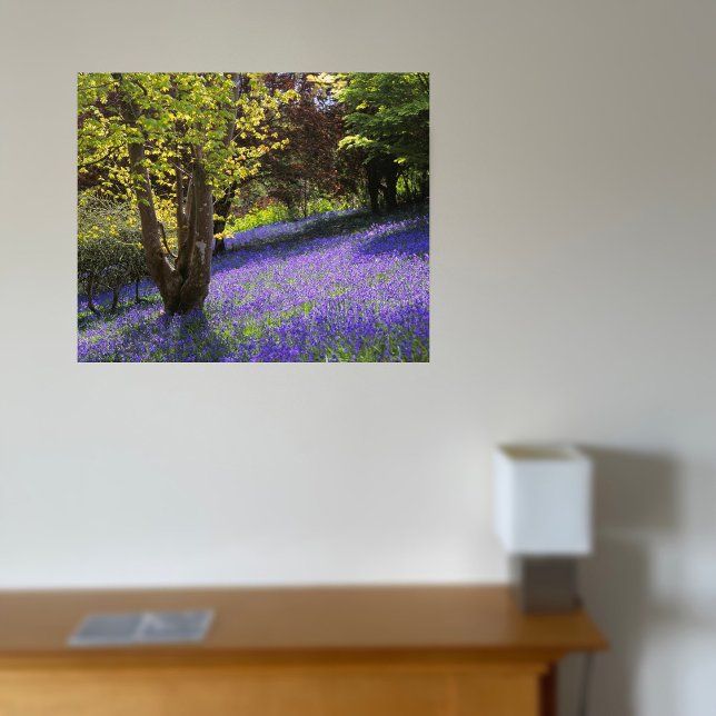 Toile Bluebells (Créateur téléchargé)