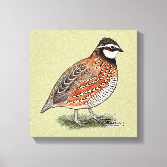 Toile Bobwhite Quail (Recto)
