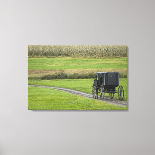 Toile Boguet amish sur la ruelle de ferme, Ohio du