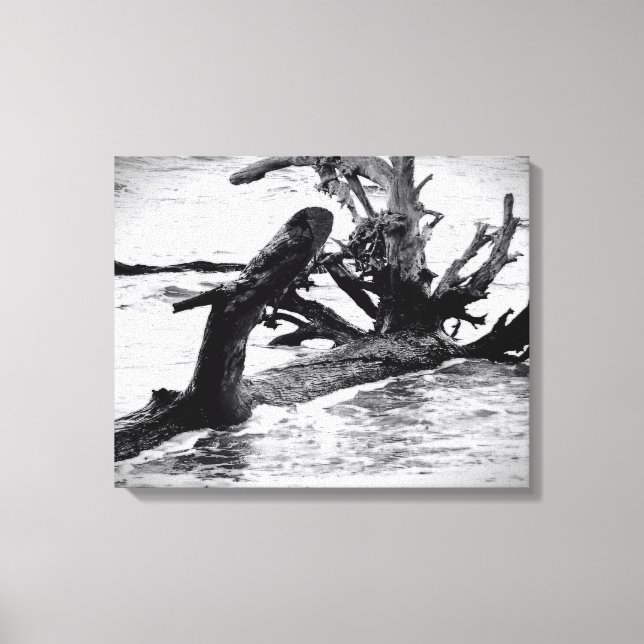 Toile Bois flotté patiné sur le rivage (Recto)