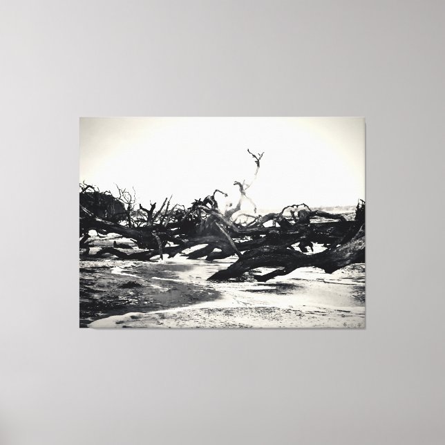 Toile Bois flotté sur une plage désolée (Recto)
