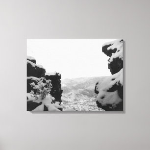 Toile Bois mort comme vu de la photographie blanche de