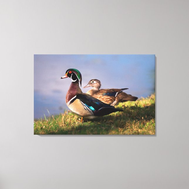 Toile Bord de lac, Canard branchu (Recto)
