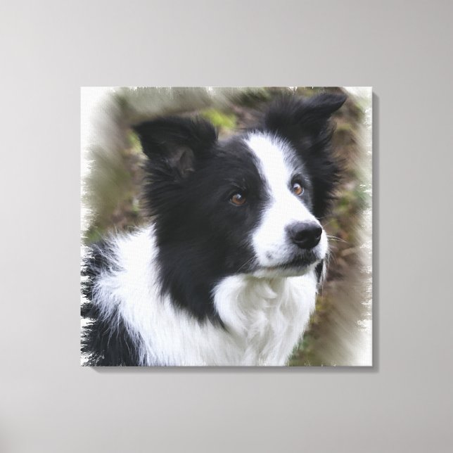 Toile Border collie art (Recto)