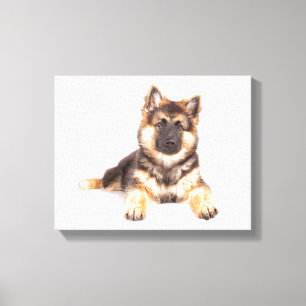 Toile Bordure Collie Allemand Shepherd Mix