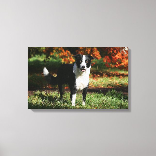 Toile Bordure Collie Automne Debout (Recto)