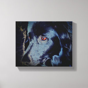Toile Bordure noire Collie Visage de chien