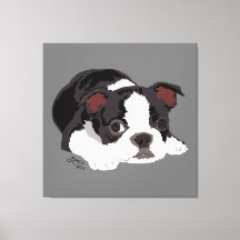 Boston Terrier Cute Chippy Aesthétique Art