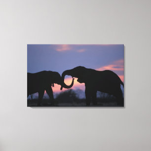 Toile Botswana, parc national de Chobe, Éléphants