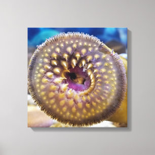 Toile Bouche de lamproie marine affiche