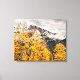 Toile Boucle alpine Silverton, Colorado