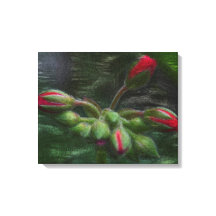 Boucles de géranium de fleurs